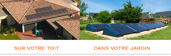 dans votre jardin