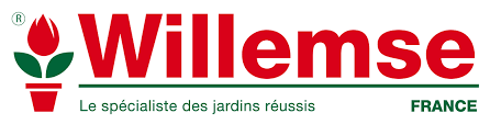 Willemse logo